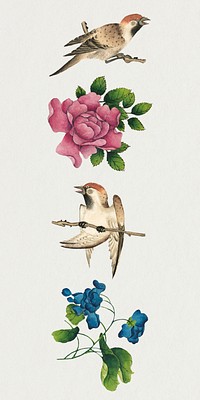 Chinese flower and bird psd set, remix from artworks by Zhang Ruoai