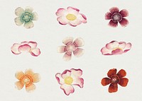 Vintage flower psd mallow and Sweet William set, remix from artworks by Zhang Ruoai