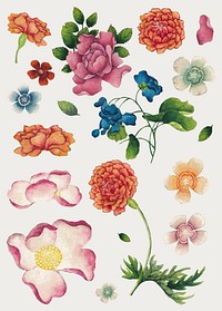 Vintage Chinese flower vector set, remix from artworks by Zhang Ruoai