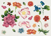 Vintage Chinese flower set, remix from artworks by Zhang Ruoai