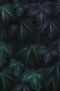 Hand drawn purplish green maple leaf patterned background