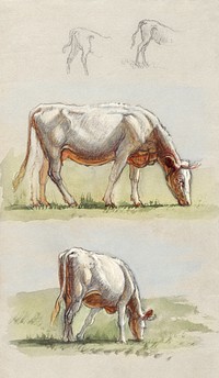 Cattle, Two Grazing Cows and the Backs of Calves (1875&ndash;1880) by <a href="https://www.rawpixel.com/search/Samuel%20Colman?sort=curated&amp;page=1">Samuel Colman</a>. Original from The Smithsonian Institution. Digitally enhanced by rawpixel.
