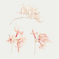 Vintage floral element vector hand drawn style set, remixed from artworks by Samuel Colman