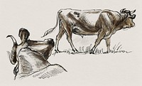 Sketches of Cattle, Irvington (September 1876) by <a href="https://www.rawpixel.com/search/Samuel%20Colman?sort=curated&amp;page=1">Samuel Colman</a>. Original from The Smithsonian Institution. Digitally enhanced by rawpixel.