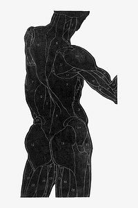 Human anatomy vector in silhouette, remixed from artworks by Reijer Stolk