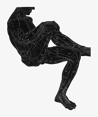 Human anatomy vector in silhouette, remixed from artworks by Reijer Stolk