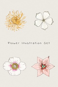 Vintage flower illustration set design element