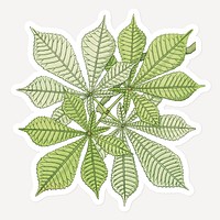 Vintage chestnut leaf sticker with white border design element