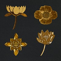 Vintage gold water lily and poppy flower illustration set design element