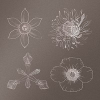Line drawing flower design element set