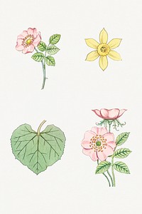 Vintage flower and leaf design element