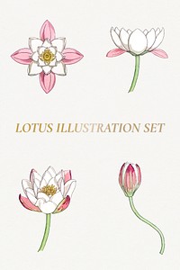 Vintage lotus flower set design element