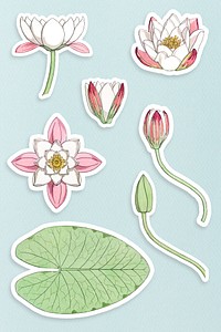 Vintage water lilly flower sticker with white border set design element