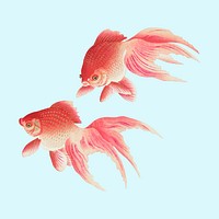 Goldfish animal sticker, aquatic animal colorful illustration vector,  remix from the artwork of Ohara Koson