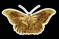 Gold butterfly sticker with white border design element