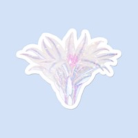Holographic sun cup cactus flower sticker with white border