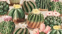 Vintage green cactus with flower illustration background