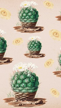 Vintage green cactus with flower background mobile phone wallpaper