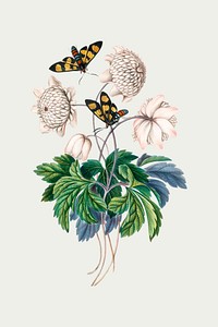 Botanical flower, butterfly sticker vector, remixed from artworks by James Bolton