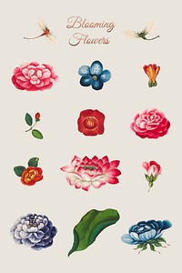 Vintage Chinese flowers set vector
