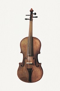 Vintage hand drawn violin design element