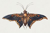 Hand drawn moth insect psd