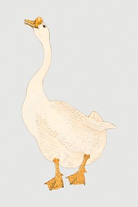 White goose design element 