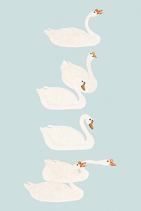 White geese bird illustrations