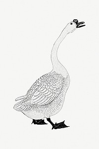 Black goose outline vintage illustration 