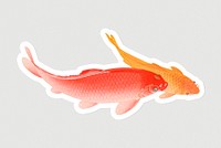 Golden carp fish sticker overlay design element 
