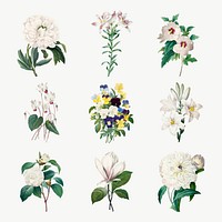 Vintage whitflower vector botanical illustration set, remixed from artworks by Pierre-Joseph Redout&eacute;