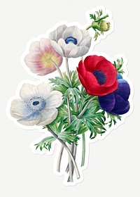 Anemone flower sticker design resource 