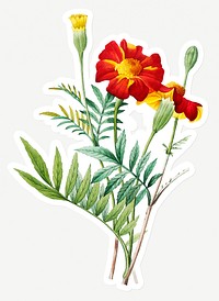 Mexican flower sticker design resource 