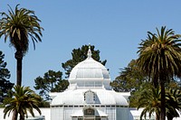 The Conservatory of Flowers is a greenhouse and botanical garden that houses a collection of rare and exotic plants in Golden Gate Park, San Francisco, California.