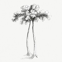 A tall tree vintage illustration