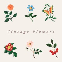 Vintage flower set illustration vector