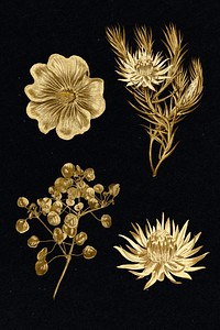 Set of blooming gold flower sticker design resource