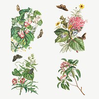 Vintage floral illustration set