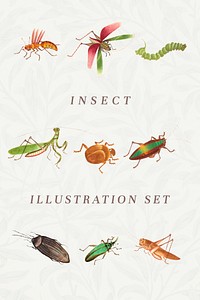 Psd insect template vintage illustration set