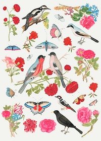 Vintage birds and flowers vector illustration set, remixed from the 18th-century artworks from the Smithsonian archive.