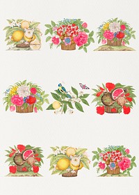 Vintage basket of flowers and fruits psd illustration set, remixed from the 18th-century artworks from the Smithsonian archive.