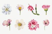 Hand drawn wild flowers vector illustration set, remixed from the artworks by <a href="https://www.rawpixel.com/search/Mary%20Vaux%20Walcott?sort=curated&amp;page=1" target="_blank">Mary Vaux Walcott</a>