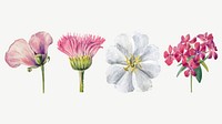 Wild flowers vector botanical illustration set, remixed from the artworks by <a href="https://www.rawpixel.com/search/Mary%20Vaux%20Walcott?sort=curated&amp;page=1" target="_blank">Mary Vaux Walcott</a>