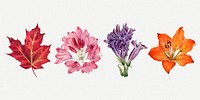 Hand drawn wild plants botanical illustration set, remixed from the artworks by <a href="https://www.rawpixel.com/search/Mary%20Vaux%20Walcott?sort=curated&amp;page=1" target="_blank">Mary Vaux Walcott</a>