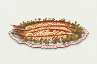 Vintage river trout dish illustration