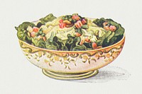 Vintage hand drawn mac&eacute;doine salad illustration