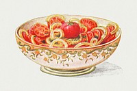 Vintage hand drawn tomato salad illustration