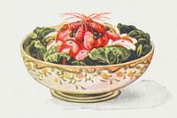Vintage hand drawn prawn salad illustration