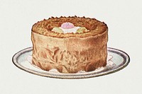 Vintage hand drawn simnel cake design element