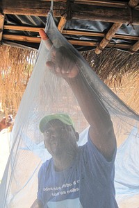 Man evaluating mosquito nets to prevent Malaria. Original image sourced from US Government department: Public Health Image Library, <a href="https://www.rawpixel.com/search/cdc?sort=curated&amp;page=1">Centers for Disease Control and Prevention</a>. Under US law this image is copyright free, please credit the government department whenever you can&rdquo;.
